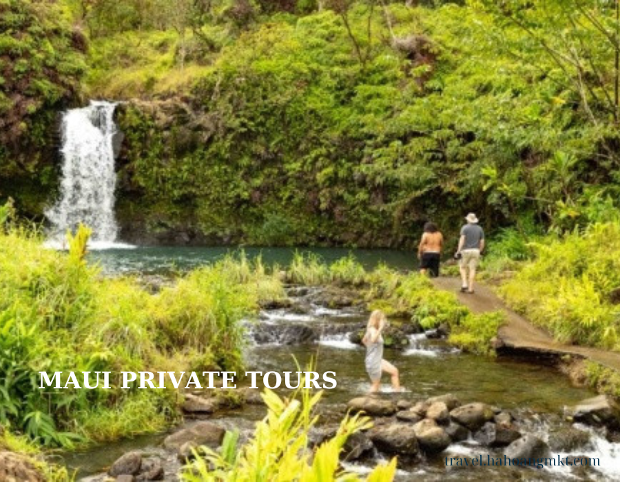 maui private tours